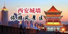 翘臀福利网中国陕西-西安城墙旅游风景区
