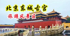 大鸡巴使劲抽插视频中国北京-东城古宫旅游风景区
